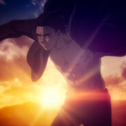 海鸟跟鱼相爱 只是一场意外