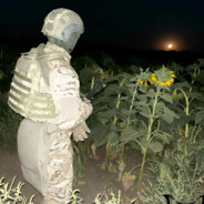 Турбодизель