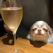 你管子都比枪硬