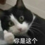 满船清梦压星河