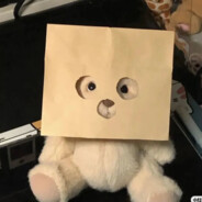 温柔都留给她吧