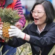 加油啊！种凤梨的大姐姐