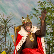 The Chimp King's Avatar