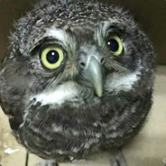 打游戏不如去学习