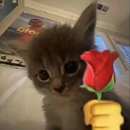 суп с лапшой