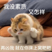 心肠歹毒的狼先生