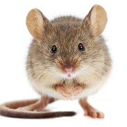 edhee123 - steam id 76561198752441562