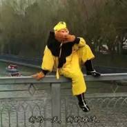 新的一天 新的难过