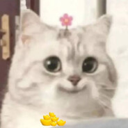 河师大第一深情