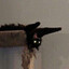 SID
