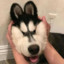 刘煤
