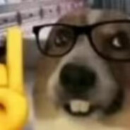 看完干拉就完了