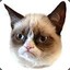 Grumpycat