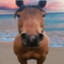 THE Horse