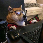 梦中梦觅梦中梦