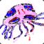 A Big Stupid Jellyfish