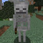 Minecraft Skeleton