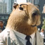 Mr.Capybara