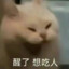 麻烦女友kk酱