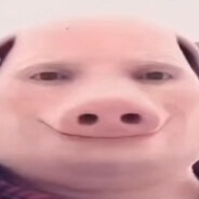 Kawaii Pig