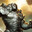 Karn Liberated