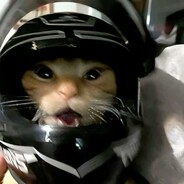 C.B.1 - steam id 76561198238097360