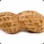 P3nutmaster