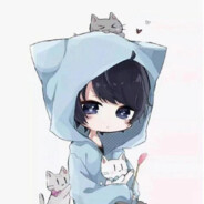 我猫红了我不玩了