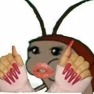 杂种APEX老冯满天飞