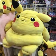 🔶🔶🔶🔶🔶🔶🔶