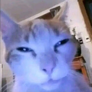 Doma Diffed avatar