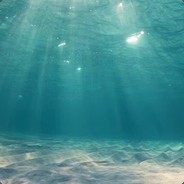 我真的不会玩这个丶