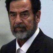 捞捞。捞捞。哔哔哔叭叭