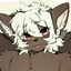Kiaayo