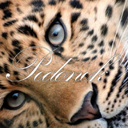 HochyLizatTvoiMiliNozki812