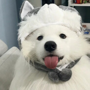 悉大杰瑞miao老师