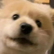 烛影翩翩偏偏待归人