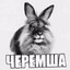 ЧЕРЕМША БЕЗ СУЕТЫ