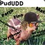 Pudin