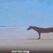 Вилка в глаз