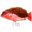 RedShnappa