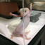 100 Geckos