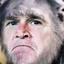 George Bush is a monkey