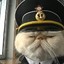 Captain Catnip