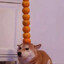 DogeNier