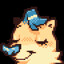 Kooriki