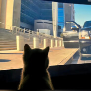 没能走进她的心