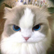 很唐的怯战蜥蜴