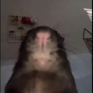 eLOG