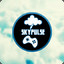 skypulse54